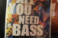 all-you-need-is-bass