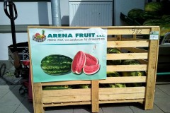 arena-fruit-melons