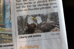 liberty-eagle