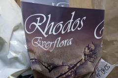 rhodos-flowers