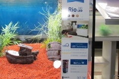 rio-aquarium