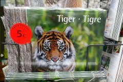 tiger-calendar