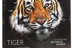 tiger-magazine-by-flock-in