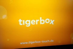tiger-tiger-box