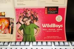 wild-boys-ad